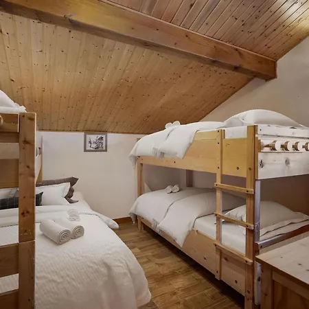 Savoyard Pres Des Pistes, 13 Personnes, Parking, Wifi - Fr-1-568-59 Alpesi faház *