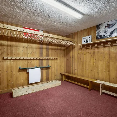 Alpesi faház Savoyard Pres Des Pistes, 13 Personnes, Parking, Wifi - Fr-1-568-59 *