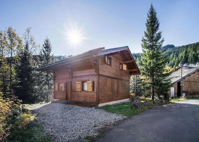 Savoyard Pres Des Pistes, 13 Personnes, Parking, Wifi - Fr-1-568-59 *